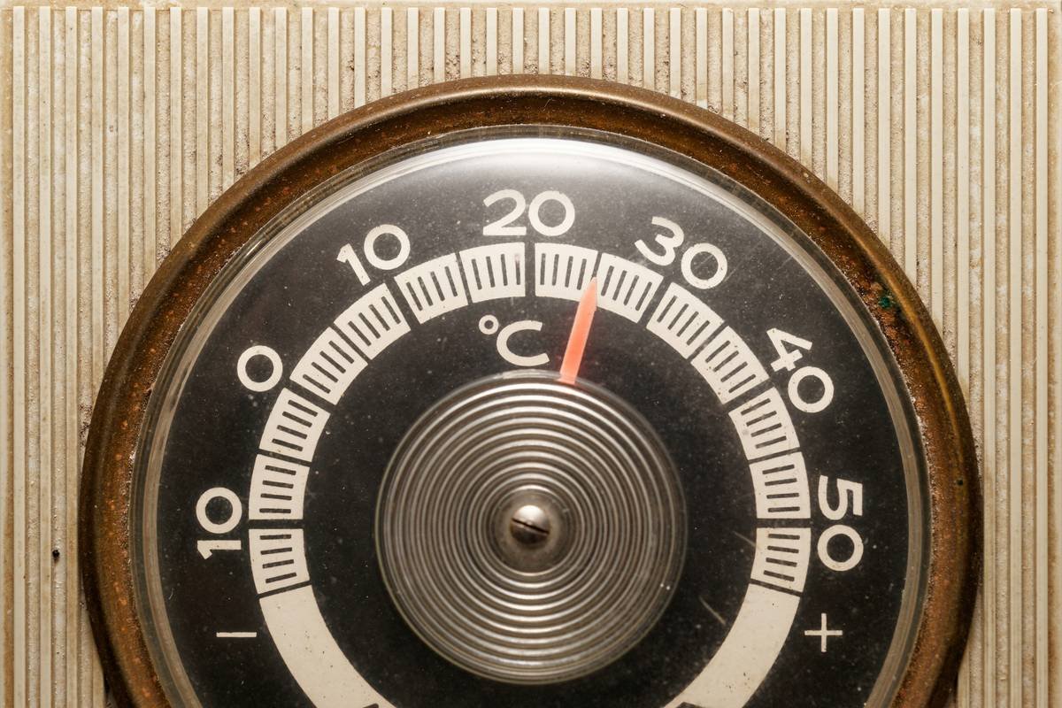 Candy Thermometer vs Cooking Thermometer: Why Your Sugar Syrup Keeps Failing